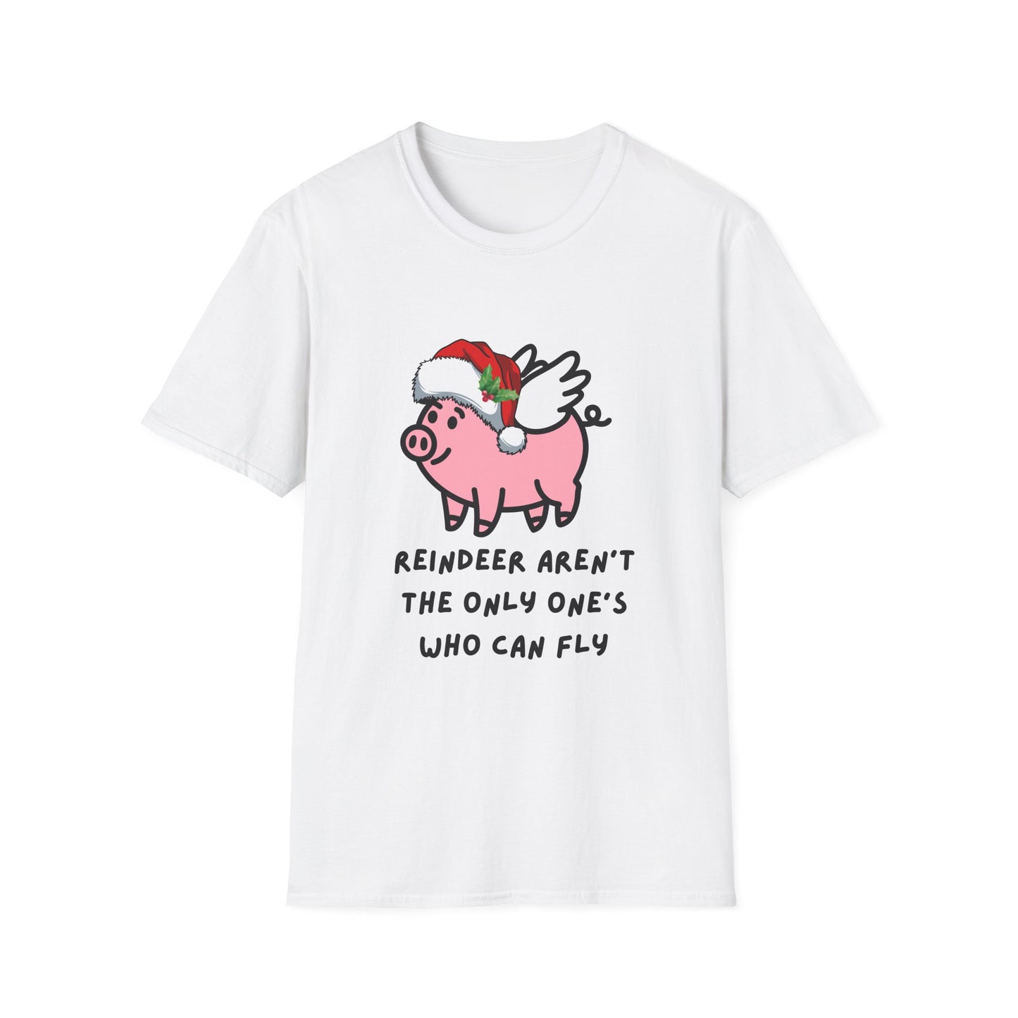 Flying pig in the air for Christmas, Reindeer aren't the only one's who can fly!