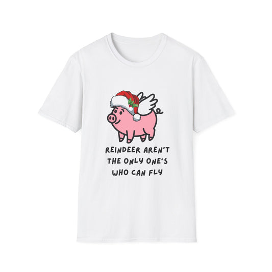 Flying pig in the air for Christmas, Reindeer aren't the only one's who can fly!